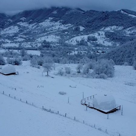 Tranquil Dome - Manta'S Retreat Glamping Cornereva Hotel ภายนอก รูปภาพ